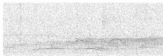 Atlantik Kara Gerdanlı Trogonu - ML611769839