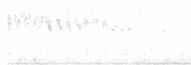 Сріблодзьоб чорногузий - ML611770160