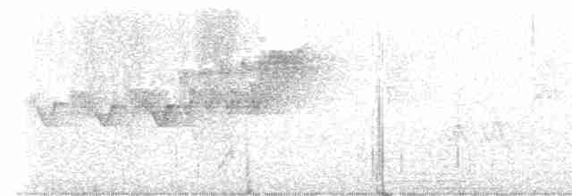 Cerulean Warbler - ML611773461