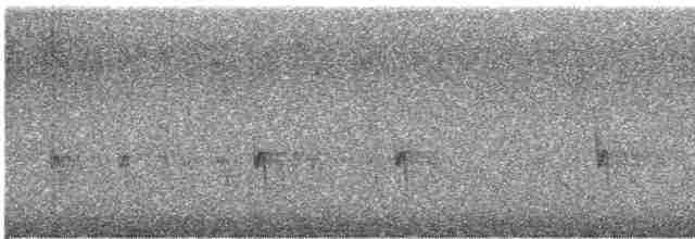 Fichtenkreuzschnabel - ML611776773