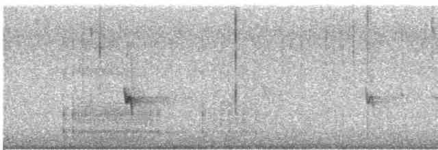 Fichtenkreuzschnabel - ML611776779