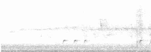 キボシホウセキドリ（melanocephalus グループ） - ML611784795