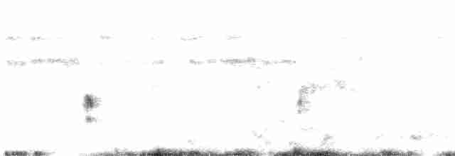 Желтобровая овсянка-барсучок - ML611786622
