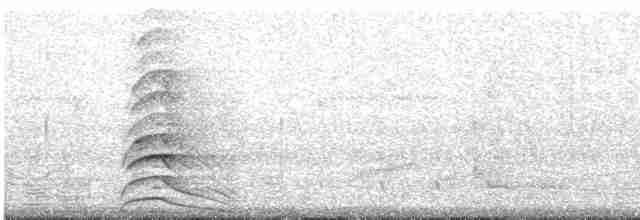 Гребенечуб гвіанський - ML611787283