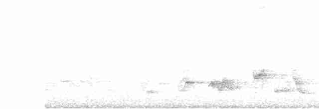White-spectacled Bulbul - ML611789035