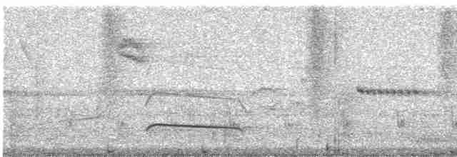 Swainson Sinekkapanı (phaeonotus) - ML611792332