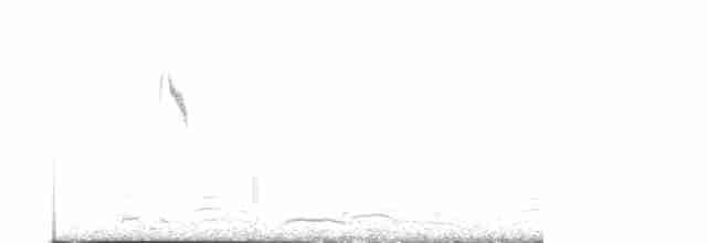 Берингийская жёлтая трясогузка - ML611794702