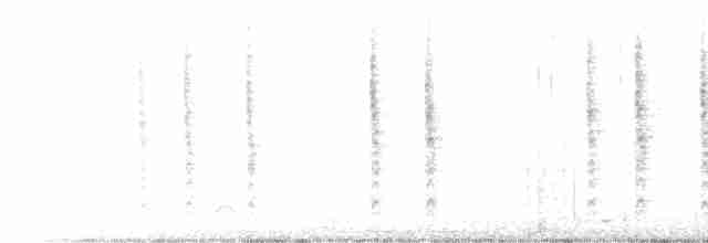 Troglodyte des marais - ML611796046