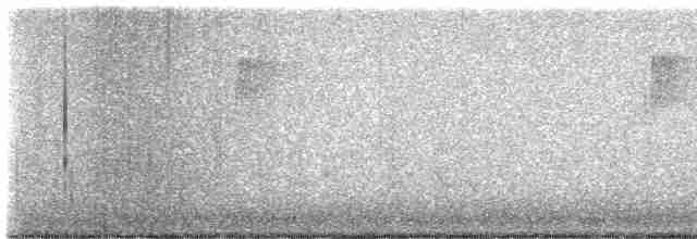 Поплітник каролінський - ML611796351