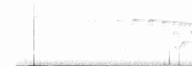 Rufous-and-white Wren - ML611799476