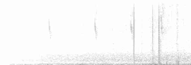 Широкохвостый колибри - ML611806214