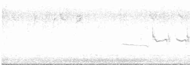 Белобровая овсянка (leucophrys/oriantha) - ML611807038