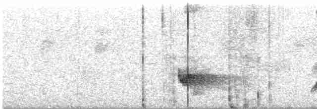 Swallow-tailed Manakin - ML611809792