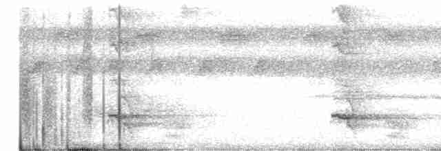 Kara Karınlı Sincap Guguğu - ML611811721
