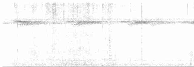 Pale-browed Tinamou - ML611816838