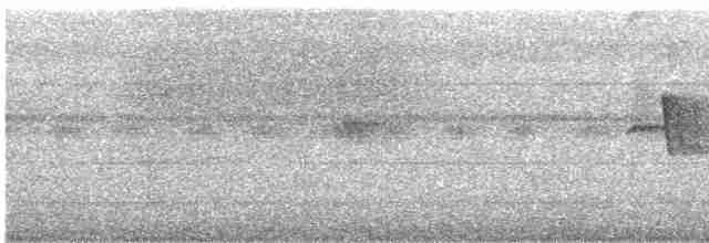 Weißbrauenschnäpper - ML611817443