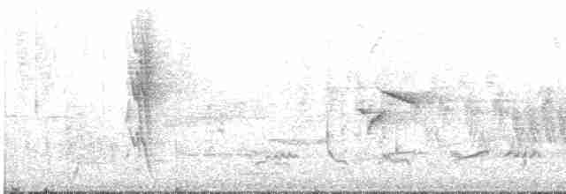Icterine Warbler - ML611818993