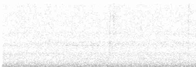 Серый петух - ML611820974