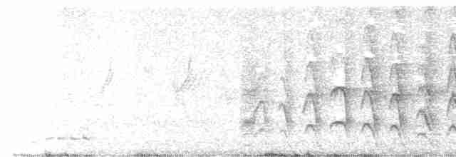 Cratérope de brousse - ML611821018
