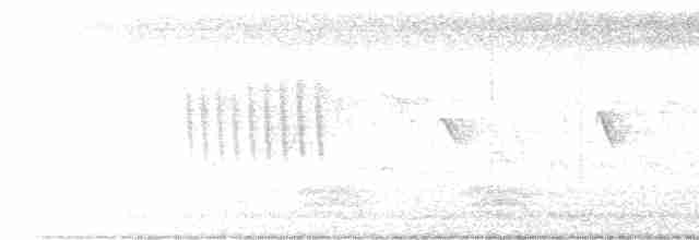 Weißbrauenschnäpper - ML611821063