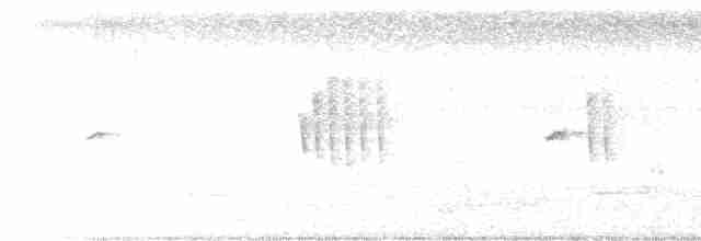 Weißbrauenschnäpper - ML611821064