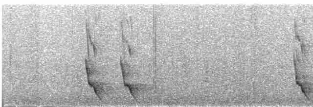Plush-crested Jay - ML611824106