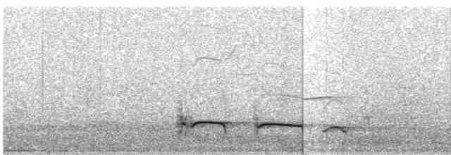 Лінивка-смугохвіст плямистобока (підвид striatipectus) - ML611824305
