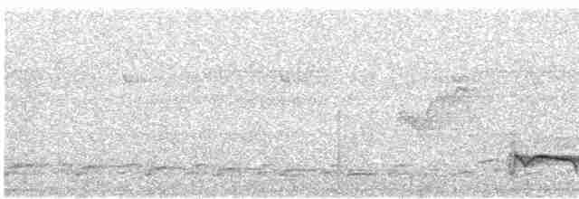 Kaatinga Pufkuşu (striatipectus) - ML611824344