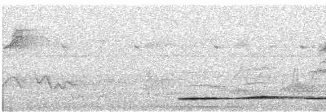 Undulated Tinamou - ML611824348