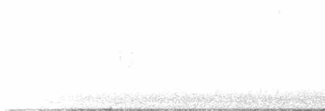 White Wagtail - ML611828086