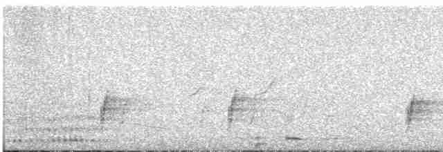 svartkronebrednebb - ML611829962