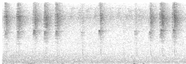 Пилоклювый колибри-отшельник - ML611830769