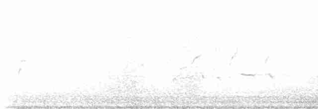 husička černobřichá - ML611831141