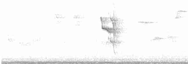 Social Flycatcher - ML611832858