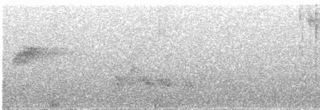 Мухолов-клинодзьоб узлісний - ML611833874