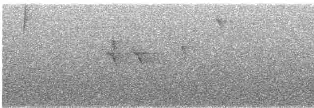 Gray-headed Tody-Flycatcher - ML611833875