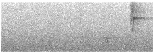 Kara Kulaklı Bityiyen - ML611835243