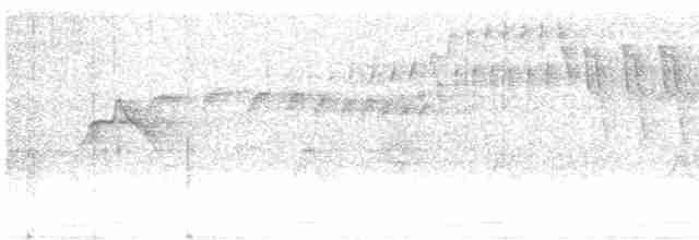 Тиранчик-короткодзьоб південний - ML611843625