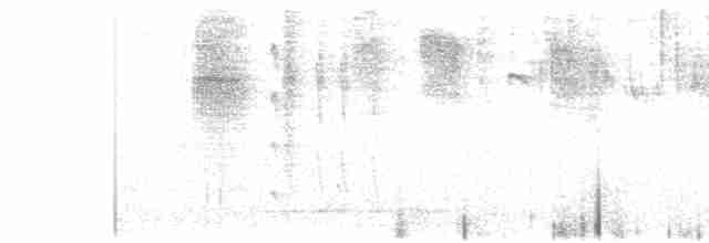Белоухий колибри - ML611848856