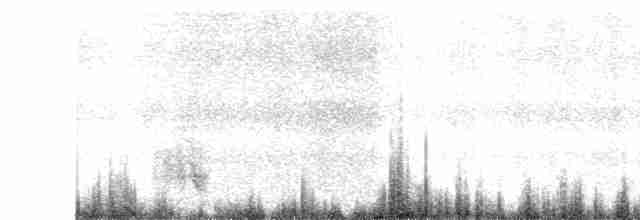 Spotted Rail - ML611850138