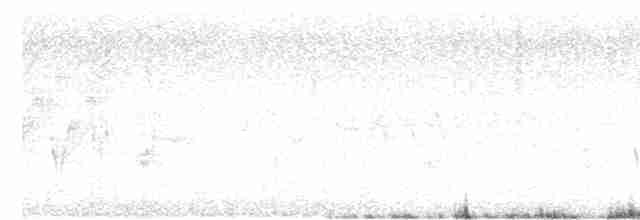Елепайо гавайський (підвид ridgwayi) - ML611851659