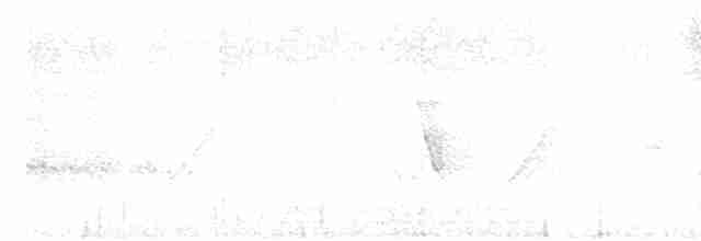 Елепайо гавайський (підвид ridgwayi) - ML611851755