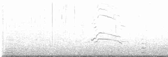 Gaviota Occidental x de Bering (híbrido) - ML611856423