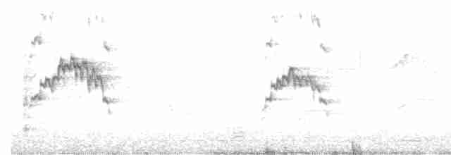 Молуккский ибис - ML611861697