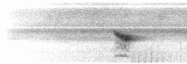 Вилохвістка плямиста - ML611866333
