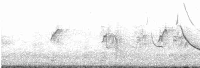 Long-tailed Meadowlark - ML611867766