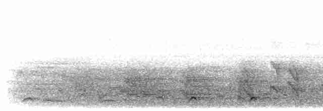 Streifenbülbülhäherling - ML611867911