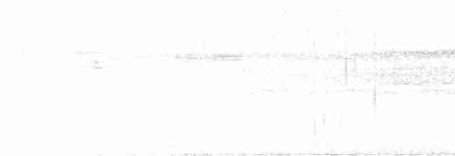 Grauscheitel-Ameisenvogel - ML611872098