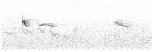 Common Kingfisher - ML611873692