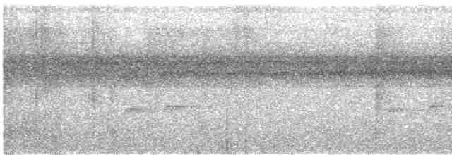Зернолуск білогорлий - ML611876429